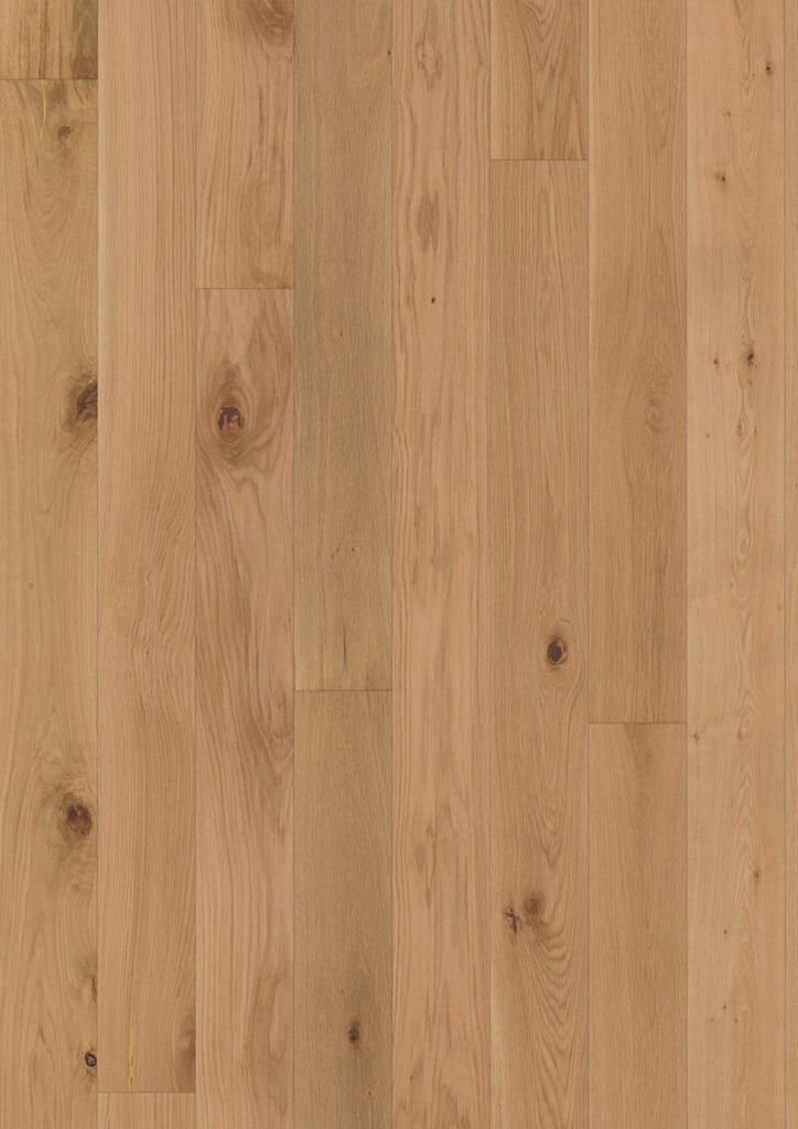 Parquet Chêne Denali — Verni mat 155×2200