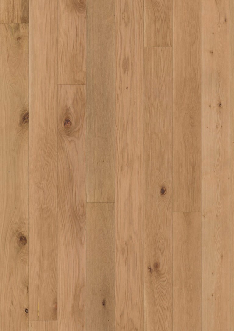 Parquet Chêne Denali — Verni mat 155×2200